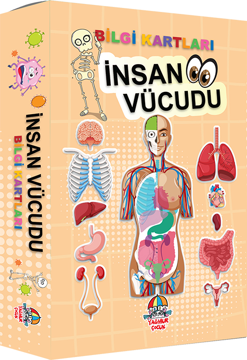 Bilgi Kartları/İnsan Vücudu